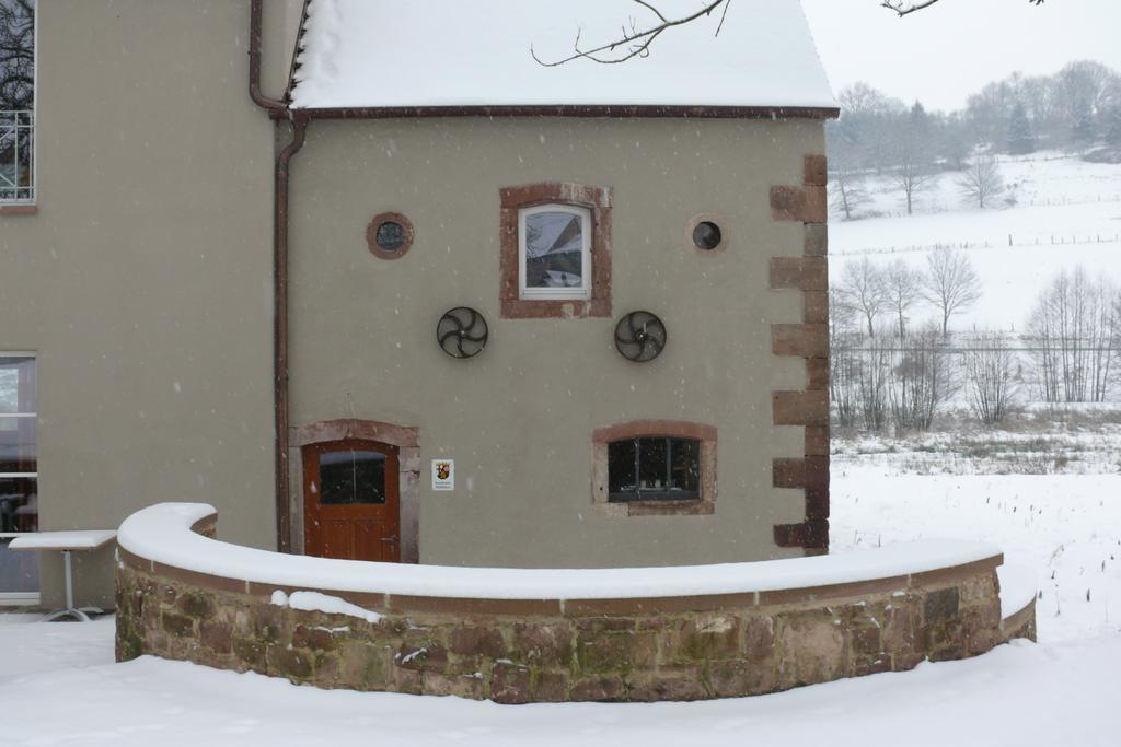 Landgrafen-Muehle Hotel Wallhalben Екстериор снимка